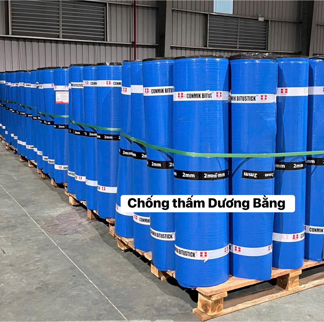Màng số lượng lớn tại kho
